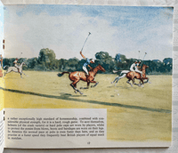 Image 3 of Our Horses by Lionel Edwards