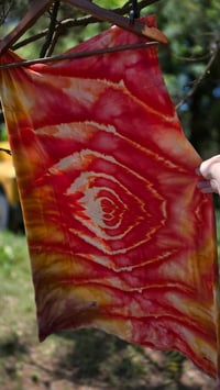 Image 11 of Red Hot