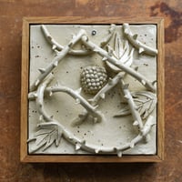 Image 1 of The Sweetest Berry