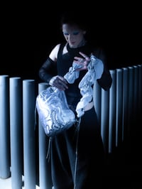 Image 5 of Pierced bag silver 1.0