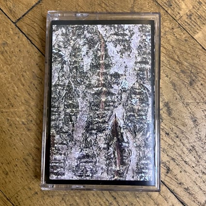 Image of Leda - Last cs