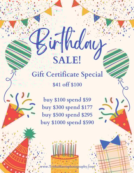 Image of Birthday Special Gift Certificates $41 off $100