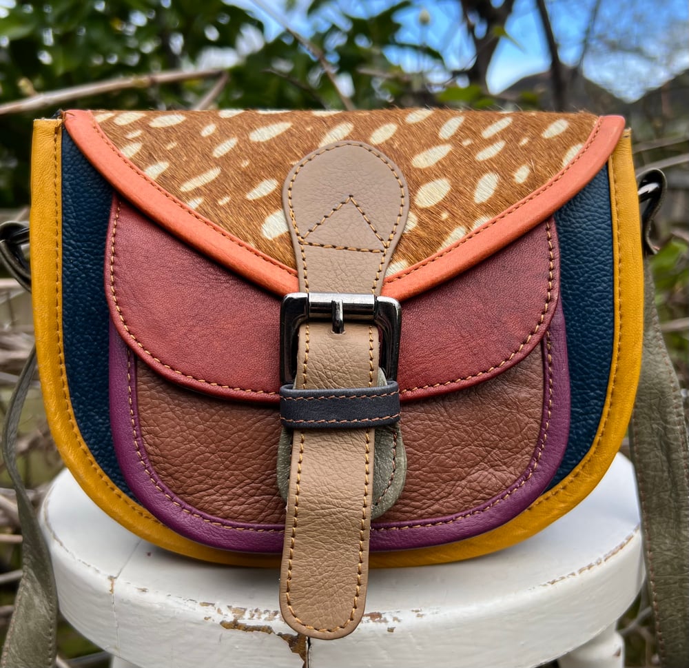 Image of Multicoloured Saddle #37C