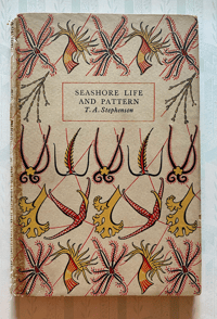 Image 2 of Special Order for Lisa