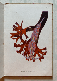 Image 9 of Special Order for Lisa