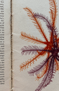 Image 10 of Special Order for Lisa