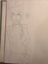 Custom sketch