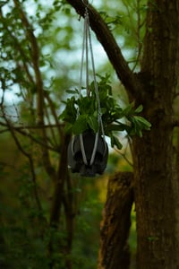 Image 1 of plant hanger - Skull