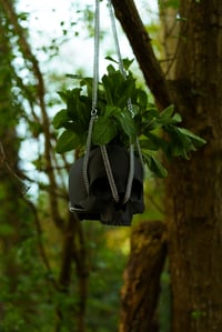 Image 2 of plant hanger - Skull