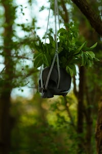 Image 3 of plant hanger - Skull