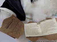 Image 3 of Vintage 1986 Robert Raikes Bears Bride and Groom Allyson and Gregory