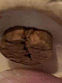 Image 9 of White With Gold Trim Rooster &amp; Hen Ceramic Salt And Pepper Shakers Vintage MCM