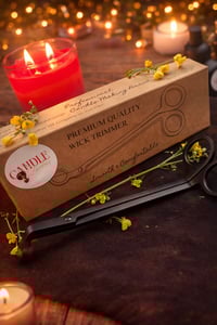 Candle Wick Trimmers