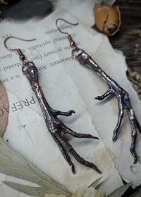 Image 4 of Quail Feet Earrings