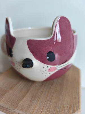 Image of   Tasse chat prune