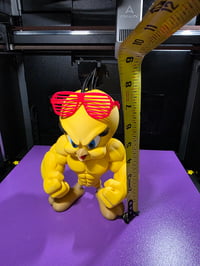 Image 5 of Buff Tweety Bird