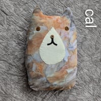 Image 4 of Trash Cats