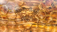 Image 4 of Honey Bee Board -183