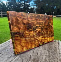 Image 1 of Honey Bee Board -183