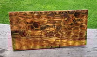 Image 10 of Honey Bee Board -183
