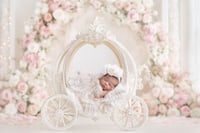 Image 11 of PROMO Newborn Collection + Mystery Set