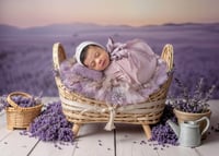 Image 21 of PROMO Newborn Collection + Mystery Set