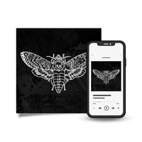 🎵 Renee Phoenix - EP (Digital Download)