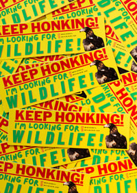 Image 1 of Keep Honking! I'm Looking For Wildlife! Bumper Sticker