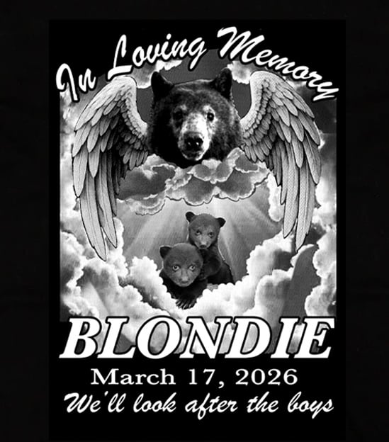 Image of BLONDIE THE BEAR MEMORIAL CHARI-TEE