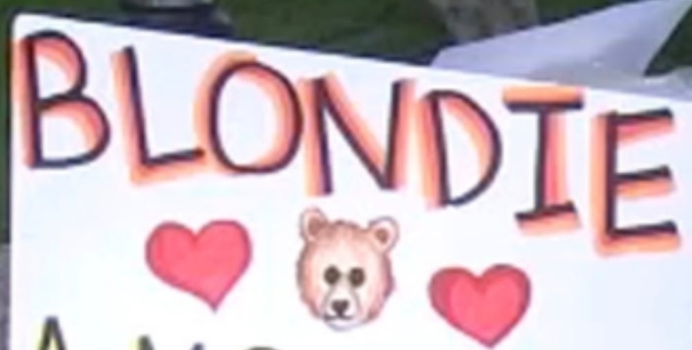 Image of BLONDIE THE BEAR MEMORIAL CHARI-TEE
