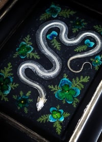Image 2 of Snake Skeleton and Floral Wall Frame