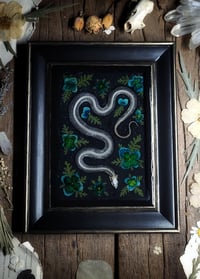 Image 1 of Snake Skeleton and Floral Wall Frame