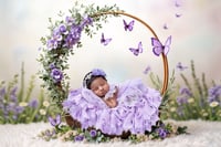 Image 1 of PROMO Newborn Collection + Mystery Set