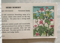 Image 4 of Wild Flowers pocket edition