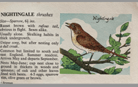 Image 3 of Woodland Birds pocket edition