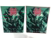 IB - Anatomy Back Patch