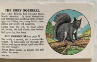 Image 2 of Wild Animals Pocket Edition