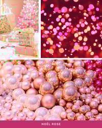 Image 2 of Box Noël 2026