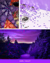 Image 4 of Box Noël 2026