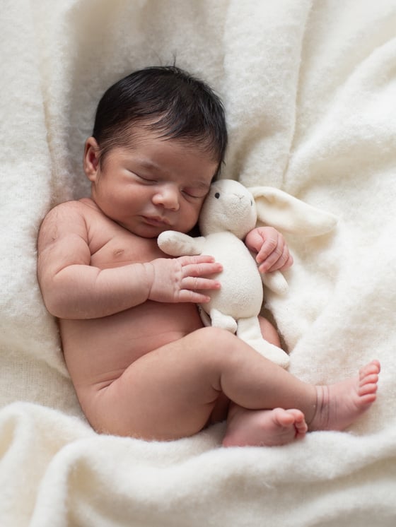 Image of Newborn Photo Session