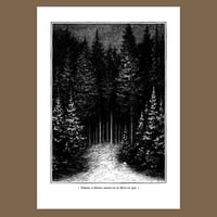Image 1 of Forest Prints