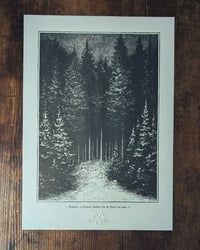 Image 2 of Forest Prints