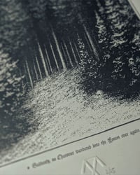 Image 4 of Forest Prints