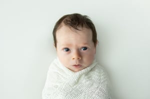 Image of Newborn Mini Session