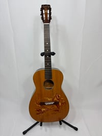 Image 4 of "ROUND UP" Stencil Guitar (FULLY SERVICED)