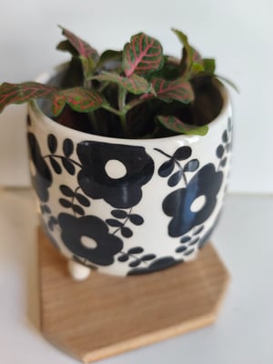 Image of    Pot trépied fleur noire