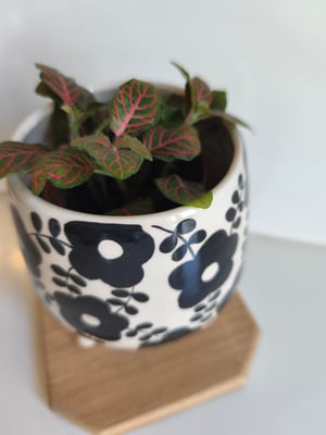 Image of    Pot trépied fleur noire