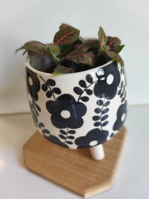 Image of    Pot trépied fleur noire