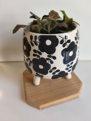 Image of    Pot trépied fleur noire