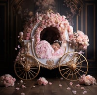 Image 4 of PROMO Newborn Collection + Mystery Set